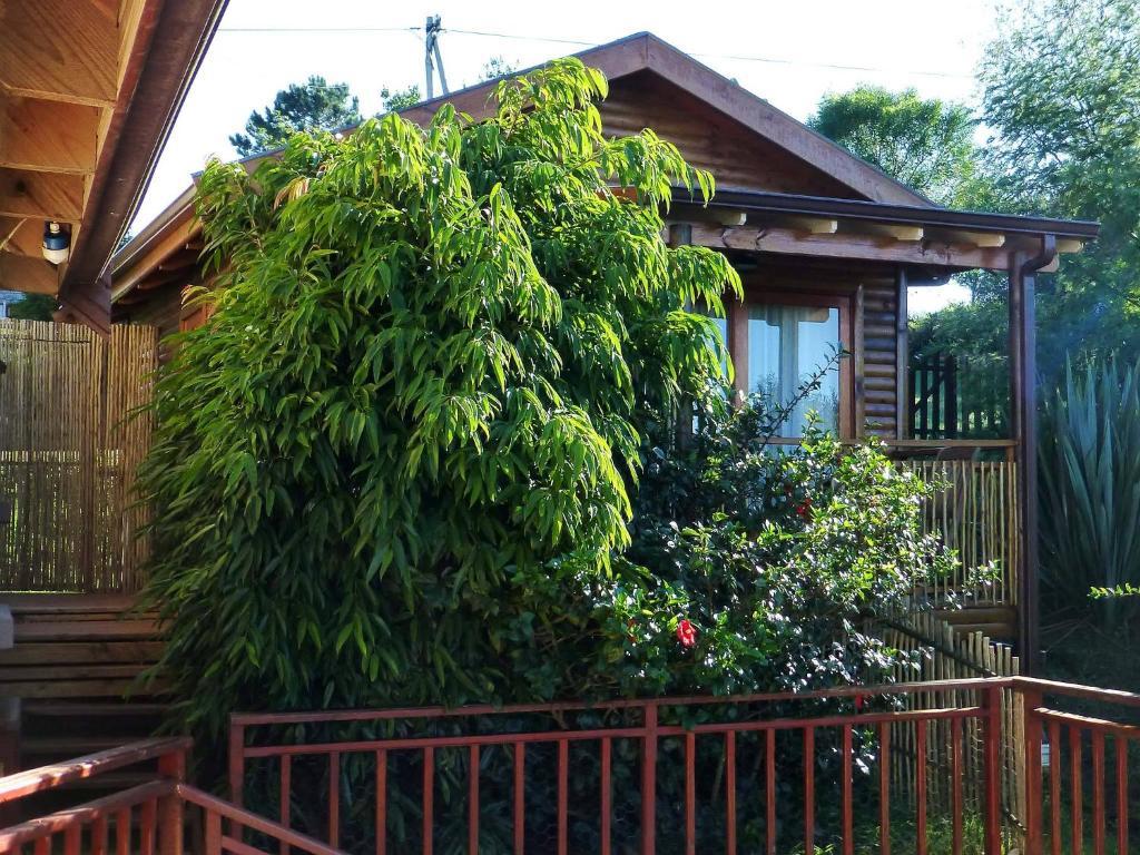 Panorama Lodge Книсна Номер фото